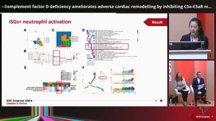 Presentation thumbnail