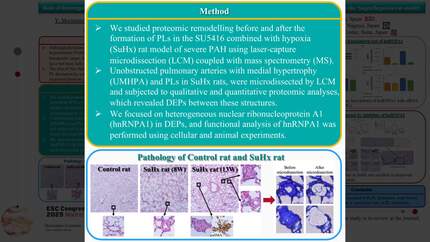 Presentation thumbnail