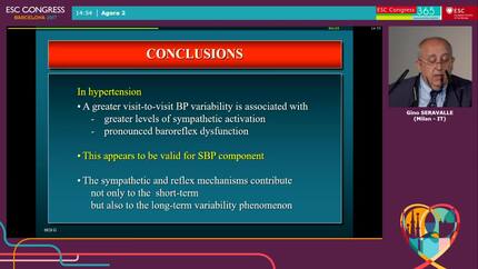 Visit-to-visit blood pressure variability is related to sympathetic neural drive and  baroreflex sensitivity in hypertensive patients