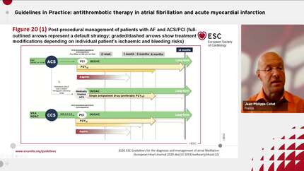 Guidelines in Practice: antithrombotic therapy in atrial fibrillation and acute myocardial infarction