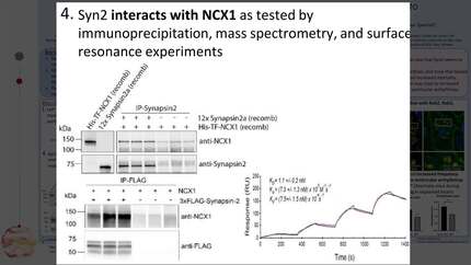 Presentation thumbnail