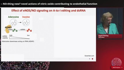Presentation thumbnail