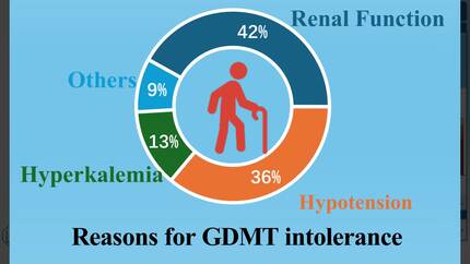 Treatment strategy for heart failure patients with guideline-directed medical therapy intolerance: a real-world prospective study