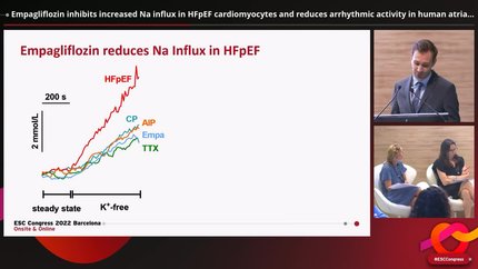 Empagliflozin inhibits increased Na influx in HFpEF cardiomyocytes and reduces arrhythmic activity in human atrial trabeculae
