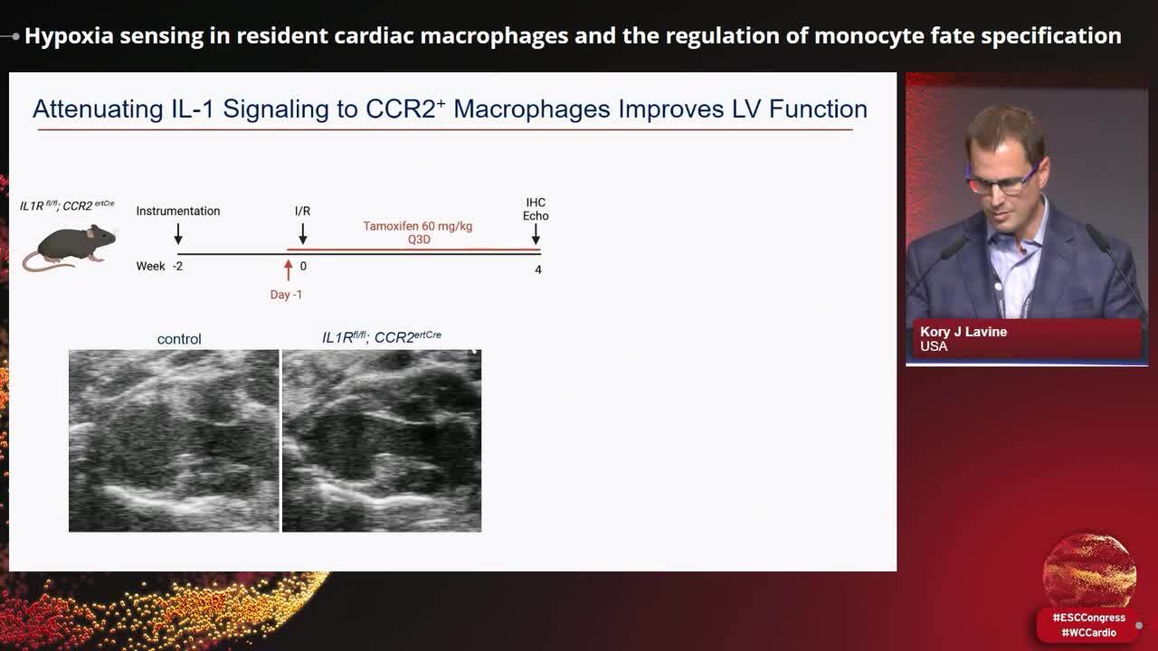 Cardiac macrophages: emerging roles in cardiac pathophysiology and repair