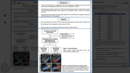 Prognostic impact of cardiovascular magnetic resonance-derived left atrioventricular coupling index in patients with severe aortic stenosis undergoing transcatheter aortic valve replacement