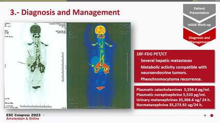 Presentation thumbnail