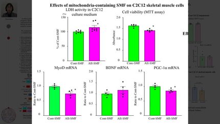 Extracellular mitochondrial release from failing hearts impairs skeletal muscle.