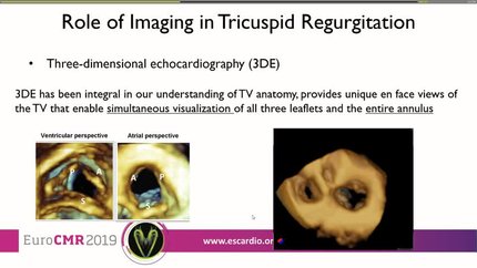 Presentation thumbnail