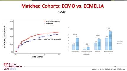 Revascularisation dilemmas in cardiogenic shock: from unloading first to non-culprit lesions