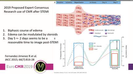 Role of CMR for personalised risk stratification in STEMI.