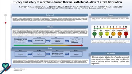 Efficacy and safety of morphine during thermal catheter ablation of atrial fibrillation
