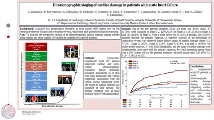 Ultrasonographic staging of cardiac damage in patients with acute heart failure