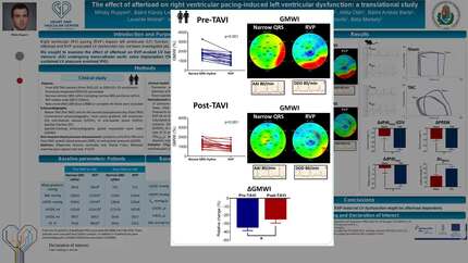 The effect of afterload on right ventricular pacing-induced left ventricular dysfunction: a translational study