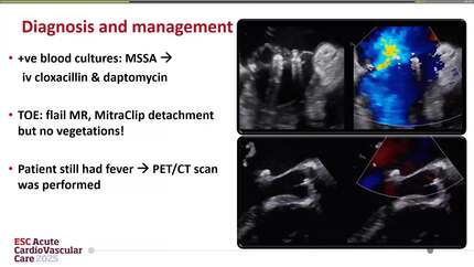 Presentation thumbnail