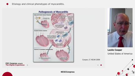 Presentation thumbnail