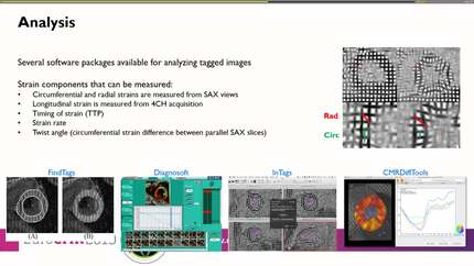 Presentation thumbnail