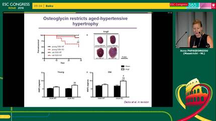 The role of extracellular matrix.