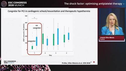 Presentation thumbnail