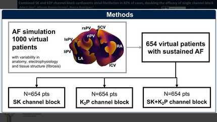 Combined SK and K2P channel block cardioverts atrial fibrillation in 82% of cases, doubling the efficacy of single channel block