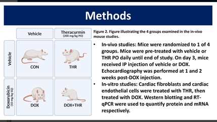 Presentation thumbnail