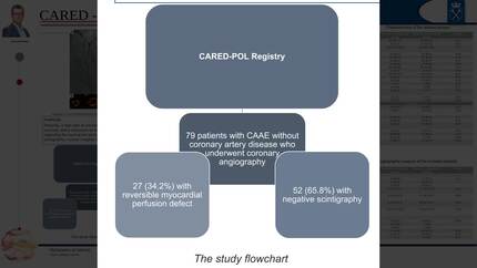 Reversible perfusion defect in myocardial scintigraphy in coronary artery aneurysm or ectasia 