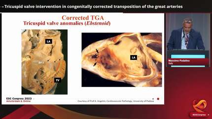 Presentation thumbnail