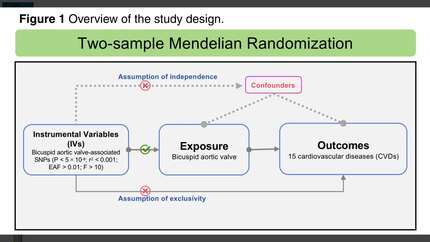 Presentation thumbnail