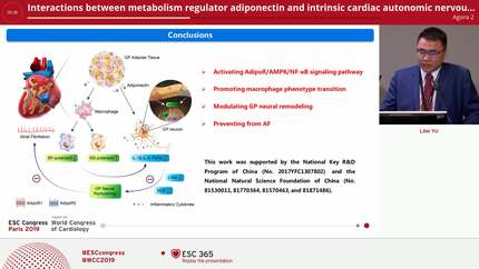 Interactions between metabolism regulator adiponectin and intrinsic cardiac autonomic nervous system: a potential treatment target for atrial fibrillation