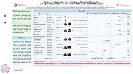 Cardiac remodelling detected by imaging and circulating biomarkers in the general population associated with systolic and diastolic blood pressure