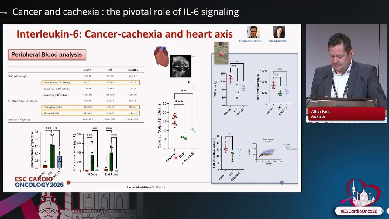 Which is the best model to study cancer treatment-related cardiovascular toxicity?