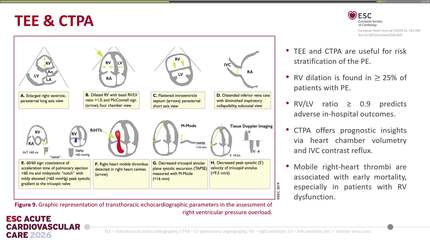 Presentation thumbnail