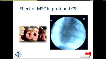 Presentation thumbnail