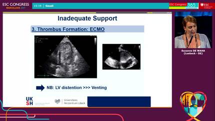 Presentation thumbnail
