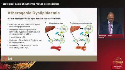 Presentation thumbnail