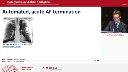 Presentation thumbnail