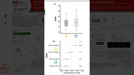 Presentation thumbnail