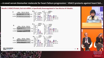 Translational, genetic, and precision medicine approaches 