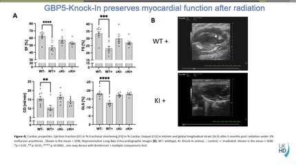 Presentation thumbnail