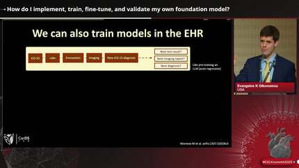 How do I implement, train, fine-tune, and validate my own foundation model?  