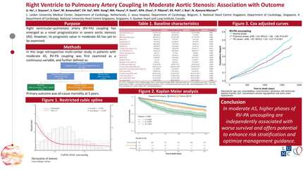 Right ventricle to pulmonary artery coupling in moderate aortic stenosis: association with outcome