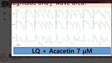 Presentation thumbnail