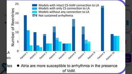Presentation thumbnail