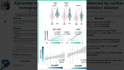 Epicardial intramyocardial fat coupling detected by cardiac tomography in candidates to atrial fibrillation ablation