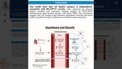 Presentation thumbnail