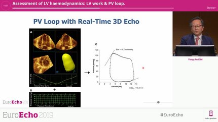 Assessment of LV haemodynamics: LV work & PV loop.