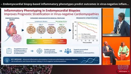 From myocardial injury to remodelling: new biomarkers and therapeutic windows