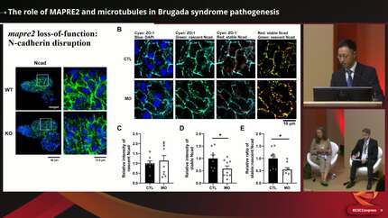 Presentation thumbnail