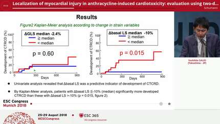 Localization of myocardial injury in anthracycline-induced cardiotoxicity: evaluation using two-dimensional speckle tracking echocardiography