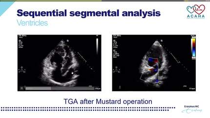 Presentation thumbnail